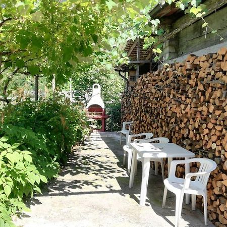 House Campi Daire Riva del Garda Dış mekan fotoğraf