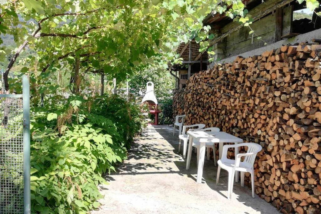 House Campi Daire Riva del Garda Dış mekan fotoğraf